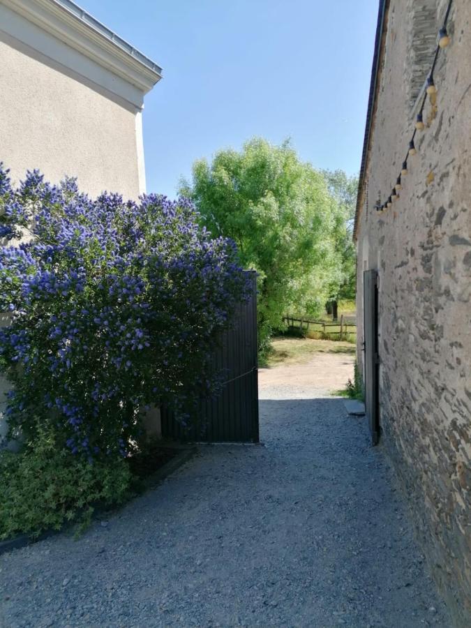 La Petite Boire - Chambres D'Hotes Pres D'Angers Murs-Erigne Exterior foto