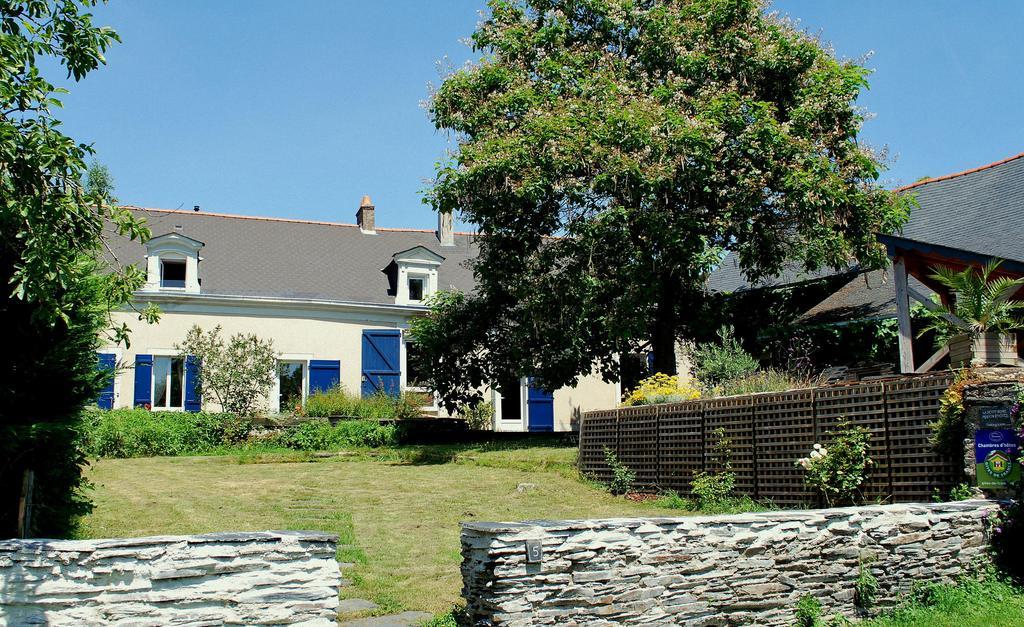 La Petite Boire - Chambres D'Hotes Pres D'Angers Murs-Erigne Zimmer foto