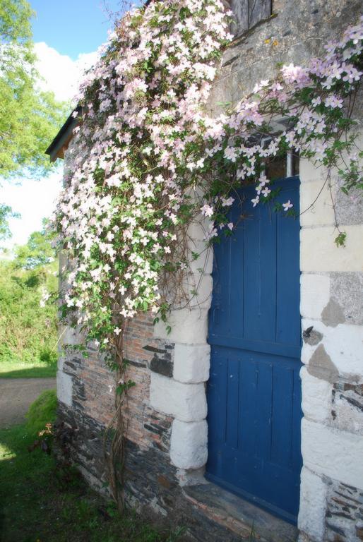 La Petite Boire - Chambres D'Hotes Pres D'Angers Murs-Erigne Exterior foto